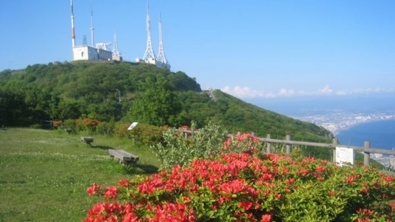 函館山自然ガイド